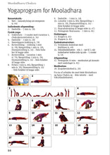 Load image into Gallery viewer, Chakra - Esoteric Yoga